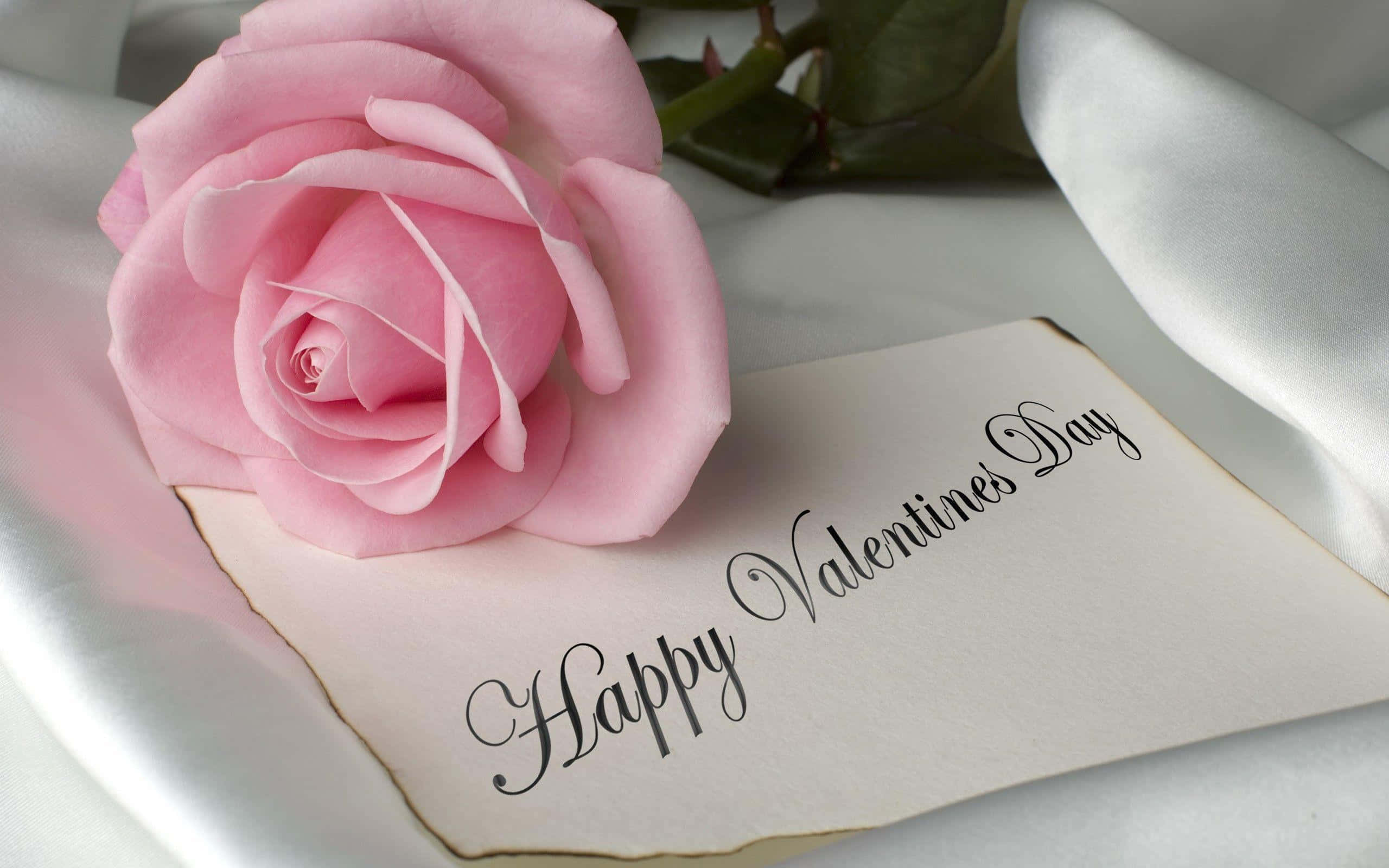 Hierdie Oulike Valentynsdag, Wys Jou Liefde vir Jou Ware Liefde Muurpapier