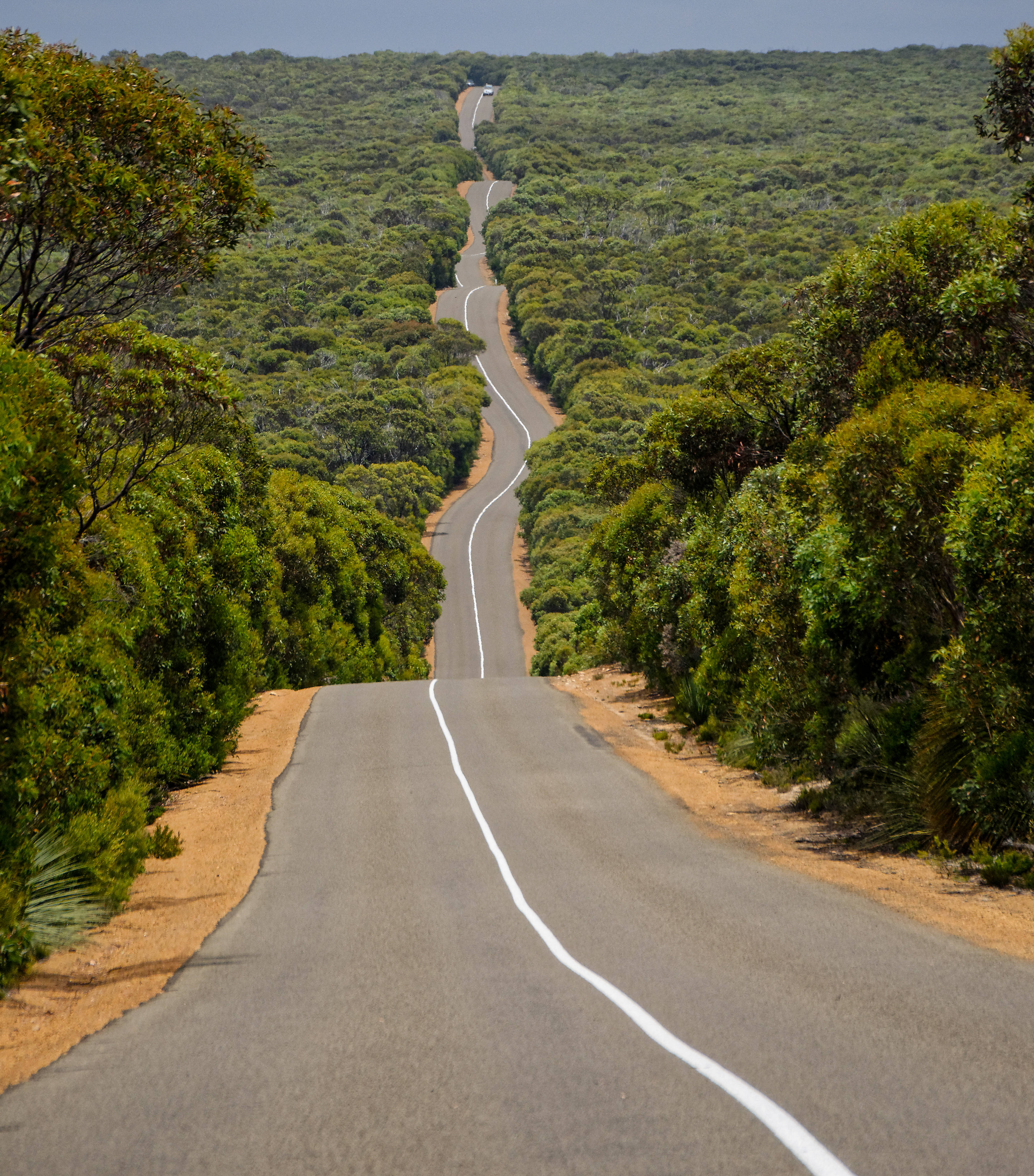 Highway 1 Of Australia Muurpapier