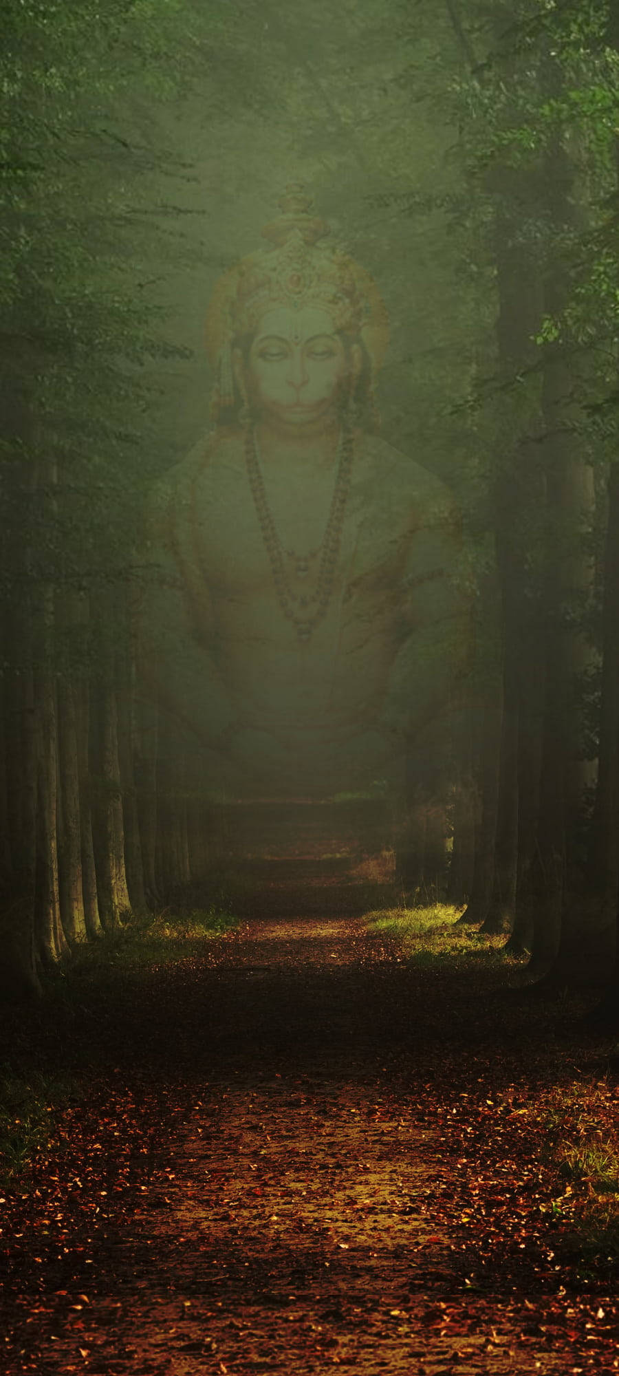 Hindoe God Hanuman Verskyning Muurpapier