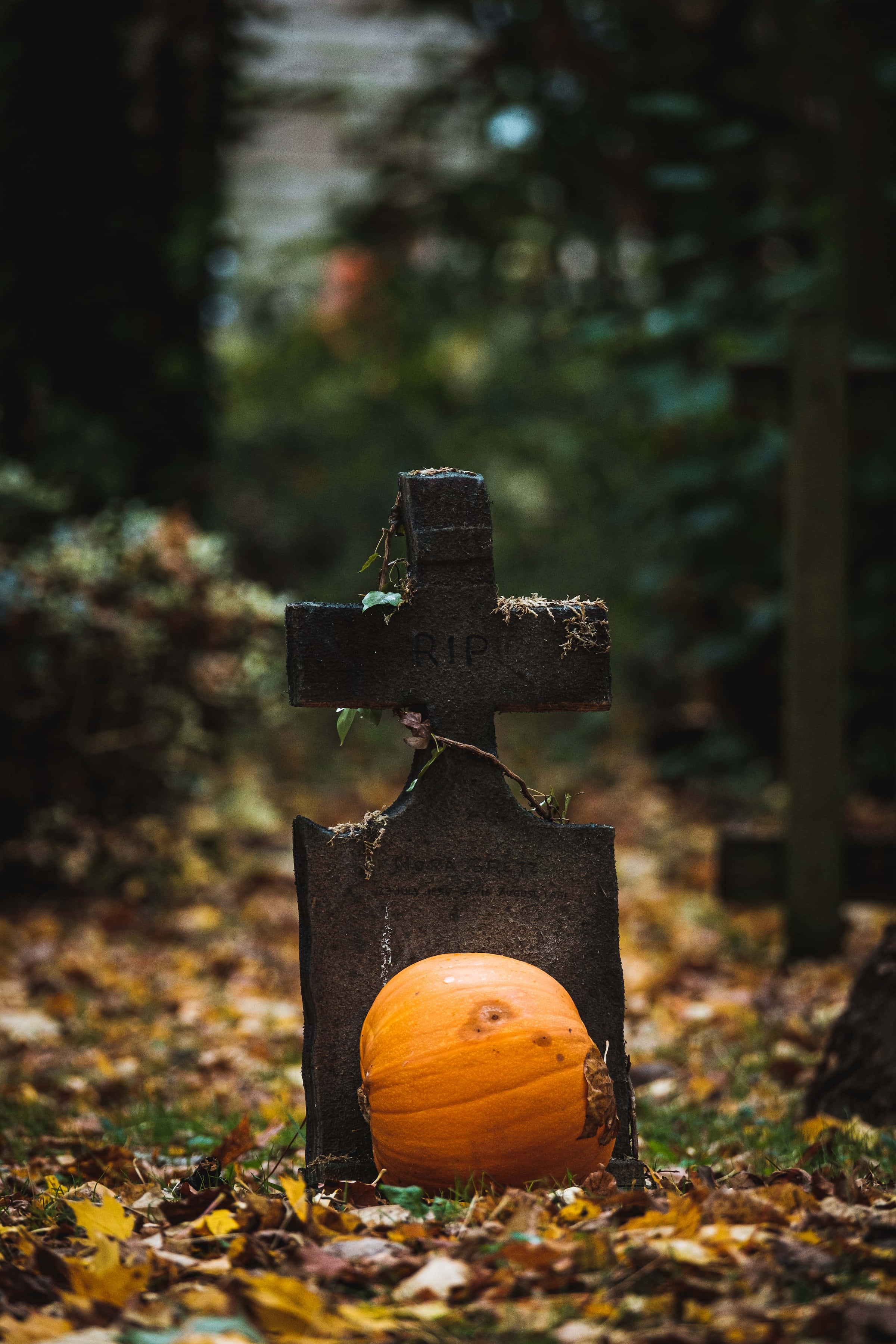 Hoë Resolusie Kerkhof Agtergrond vir Halloween Muurpapier