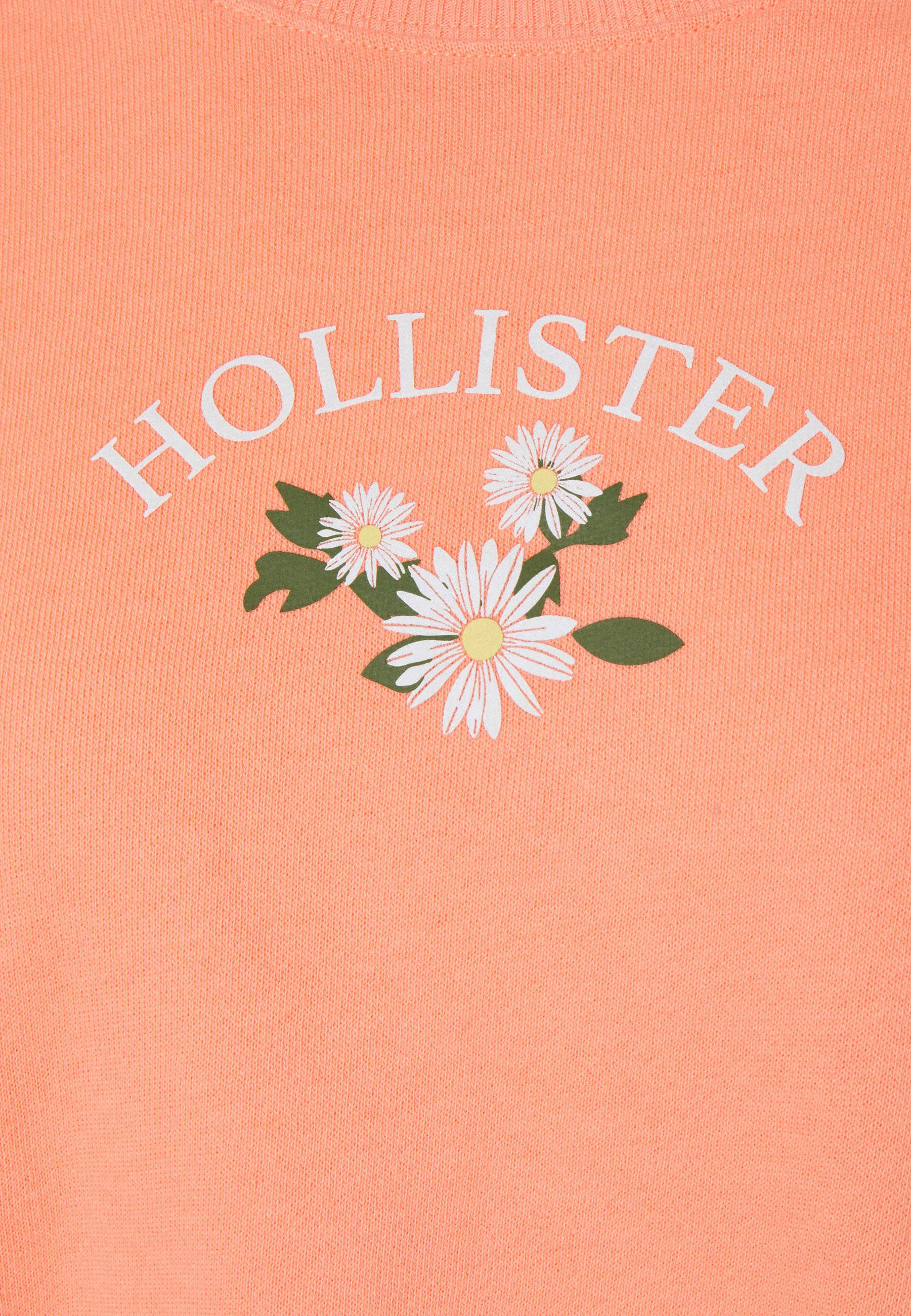 Hollister Drie Wit Blom Illustrasie Muurpapier