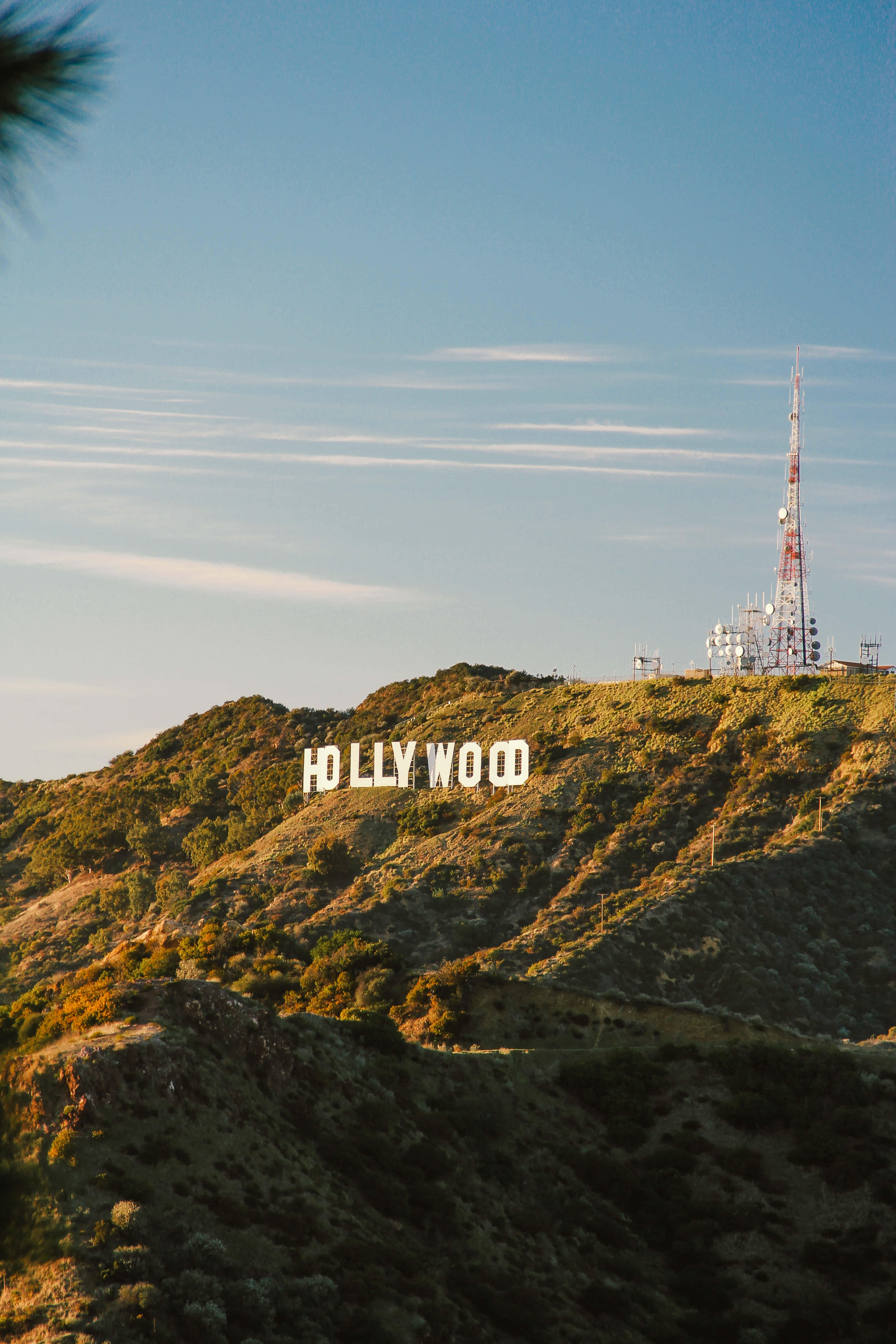 Hollywood Agtergrond Naambord Tydens Sonsondergang Muurpapier