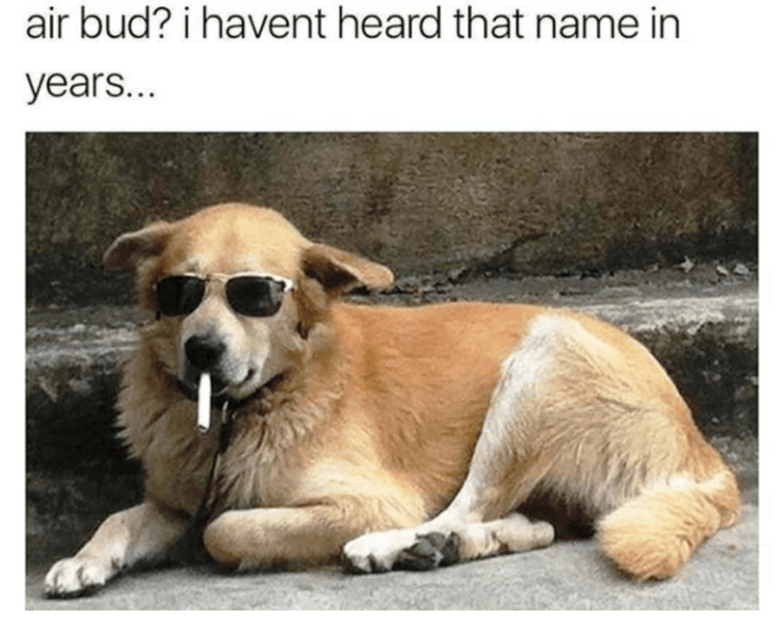 Hond met Bril en Sigaret Meme Prent Muurpapier