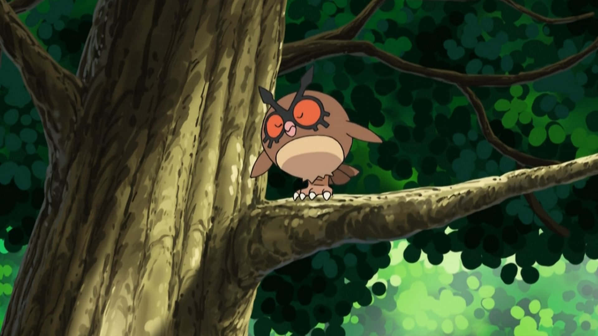 Hoothoot sit op 'n boomtak Muurpapier