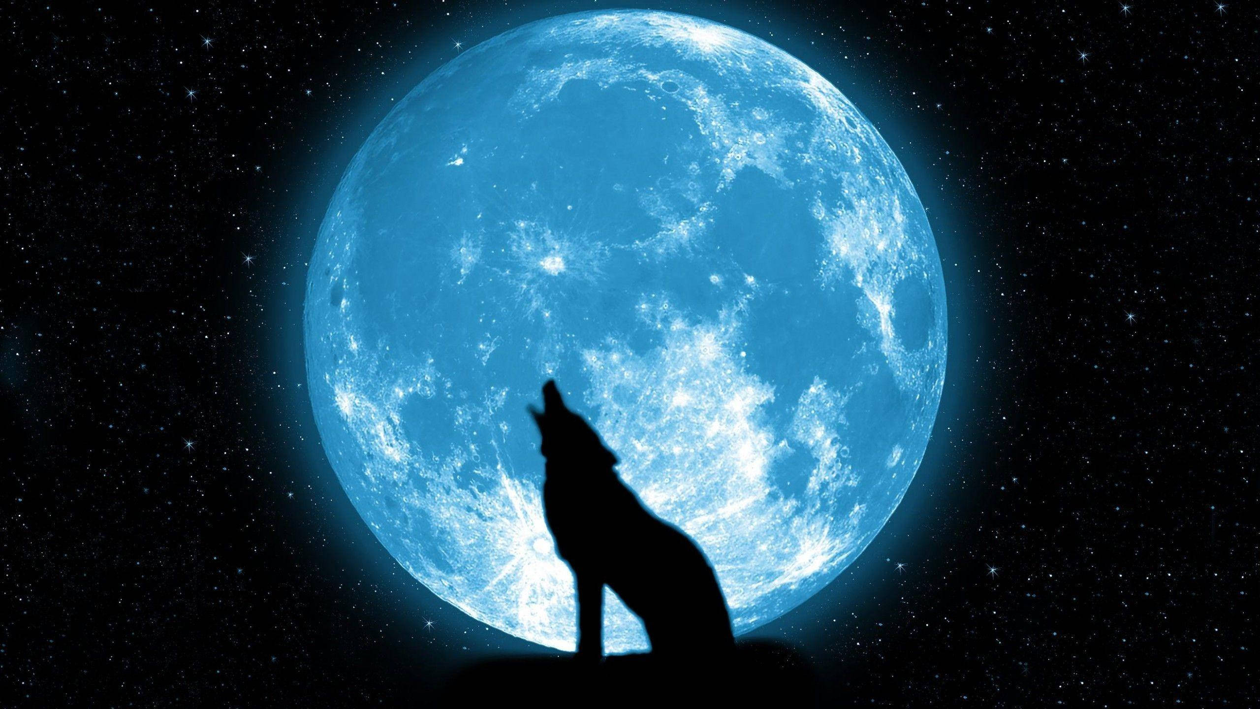 Huilende Galaksi Wolf Silhouet Muurpapier