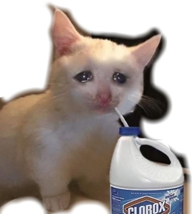 Huilende Kat Met Bleikmiddel Meme Muurpapier