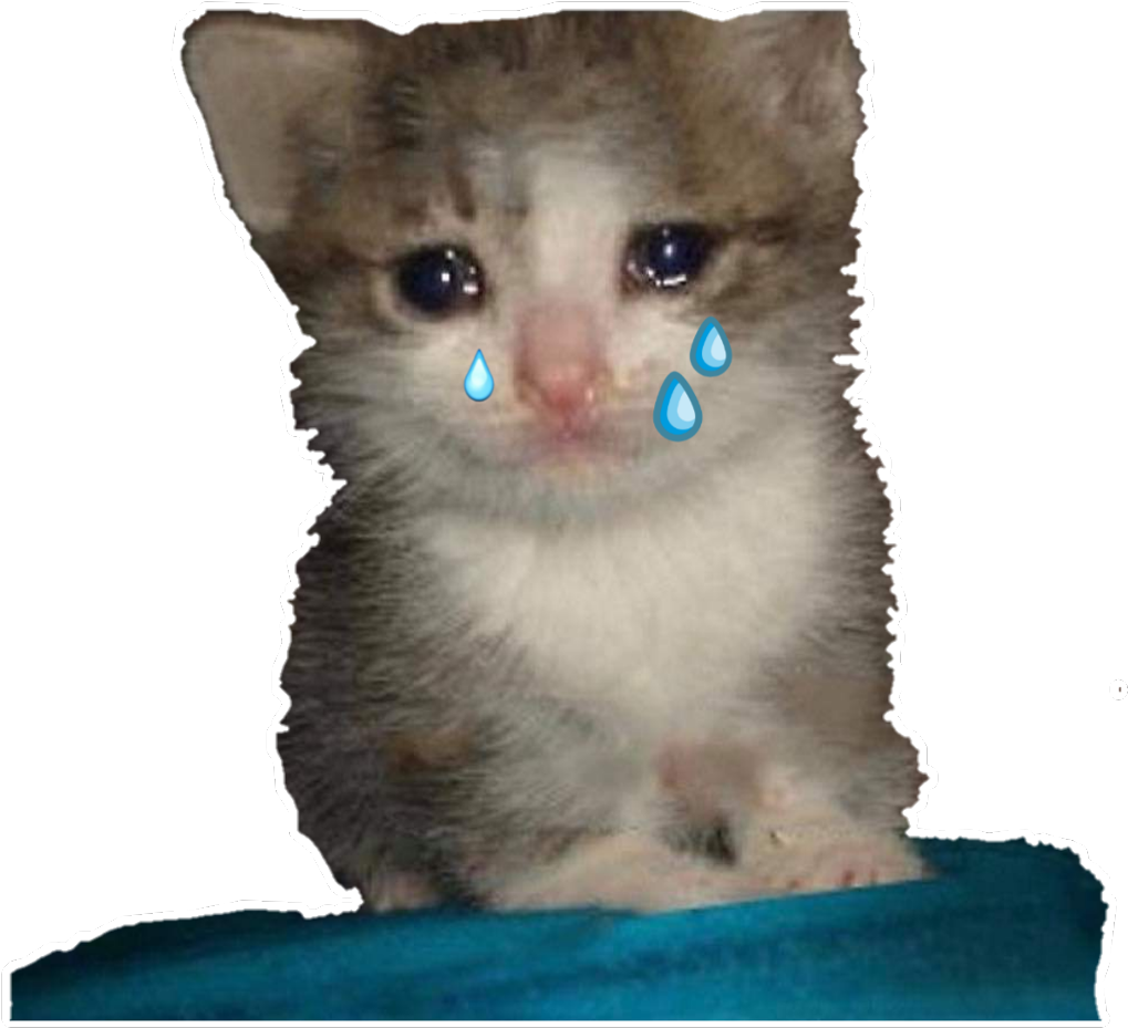 Huilende_ Katjie_ Meme.PNG Muurpapier