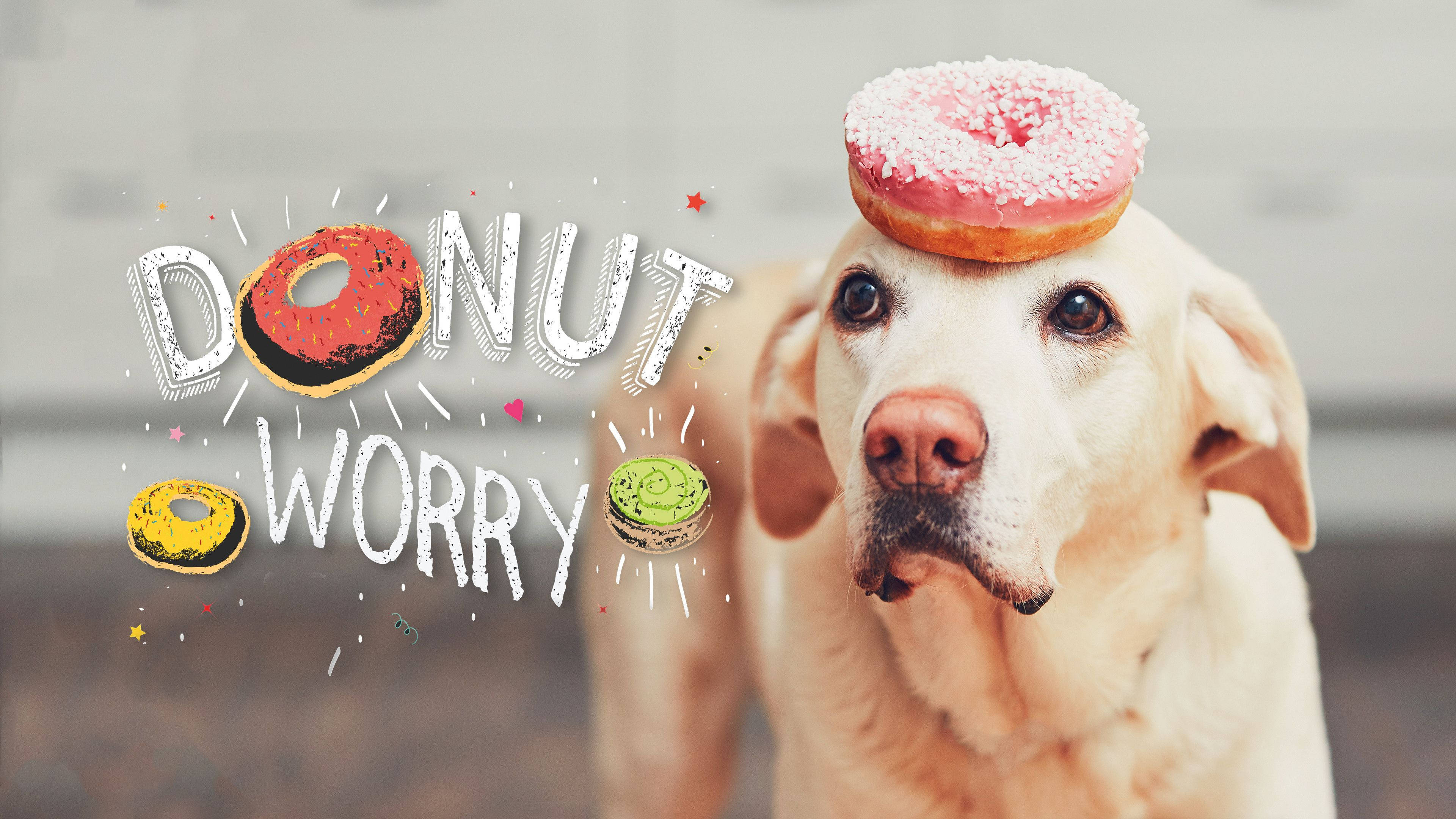 Indie-estetiese skootrekenaar: donut op hond Muurpapier