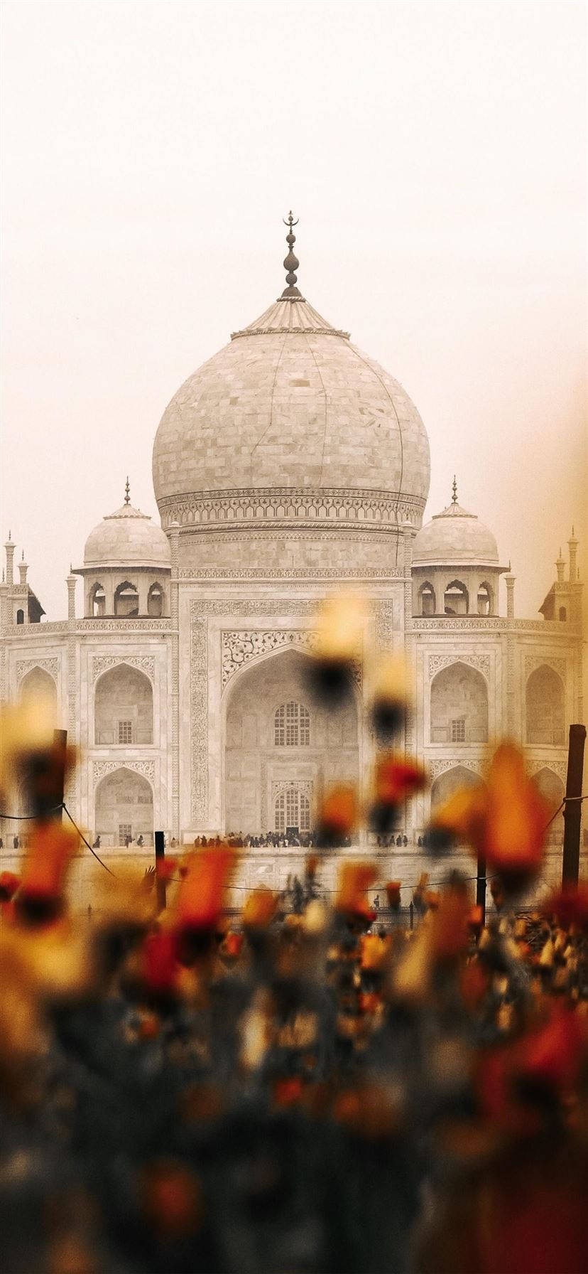 Indiese Estetiese Taj Mahal Blomme Muurpapier