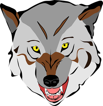 Intense Stare Wolf Vector Kuns Muurpapier