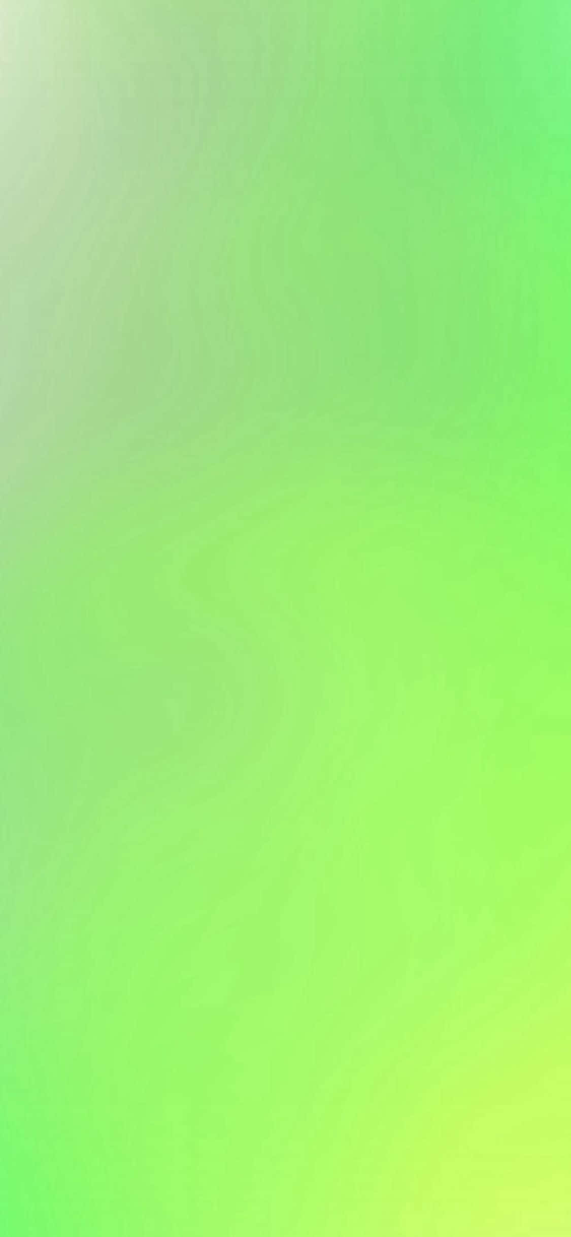 iPhone 11 Verfrissende Groen Muurpapier