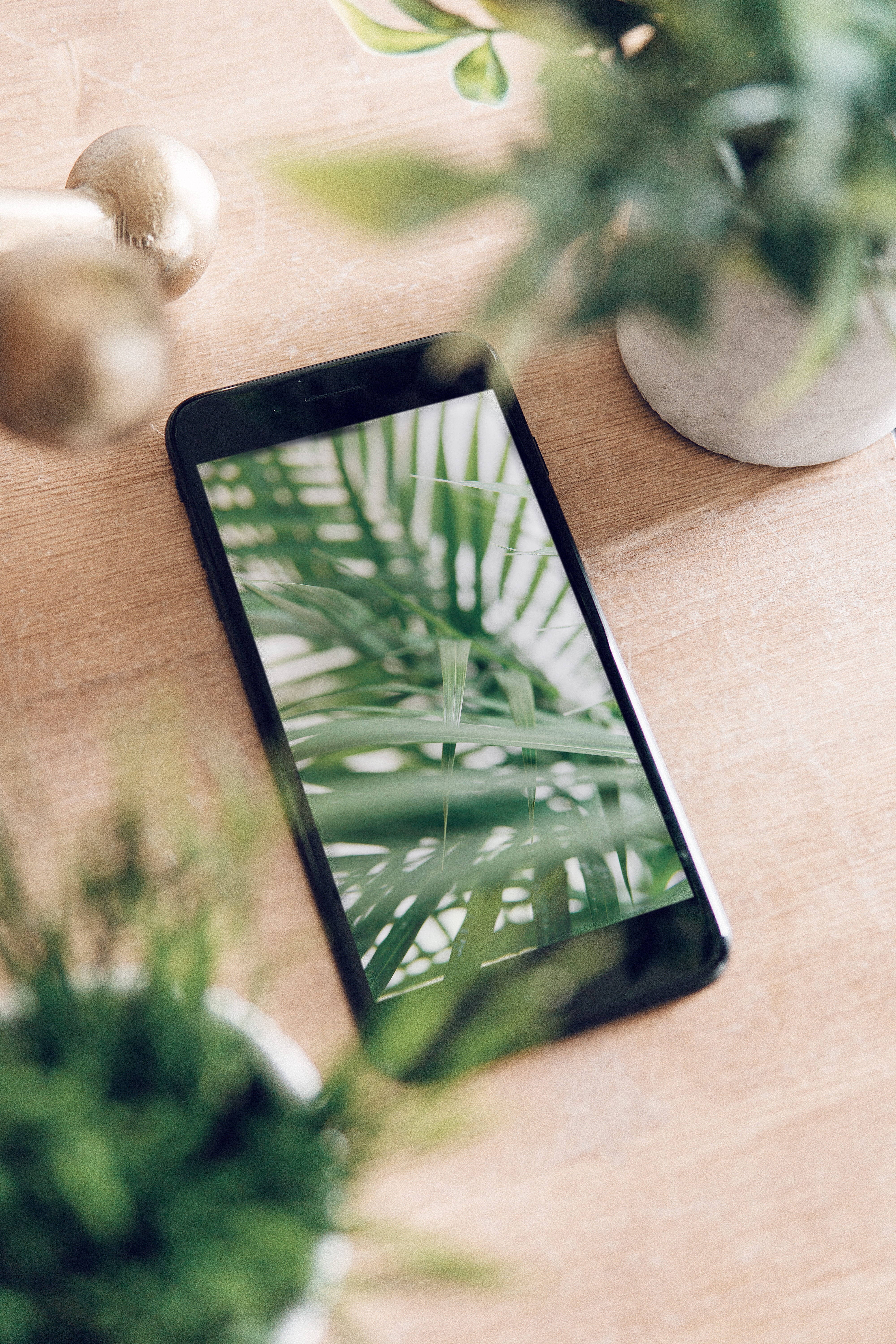 iPhone-buro met plante Muurpapier