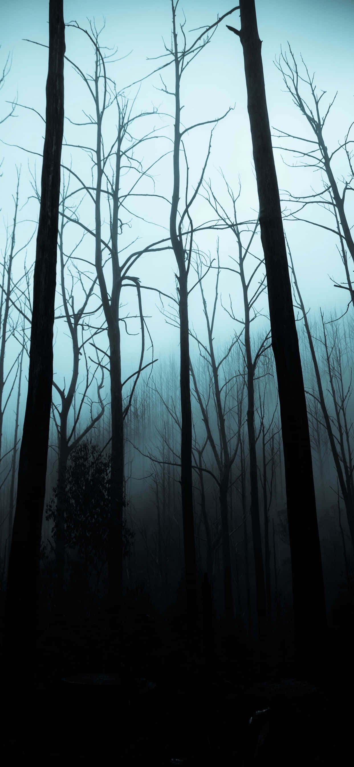 iPhone Halloween-agtergrond van 'n Spookagtige Bos Muurpapier