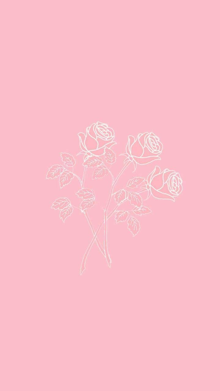 iPhone Pienk Estetiese Rose Muurpapier