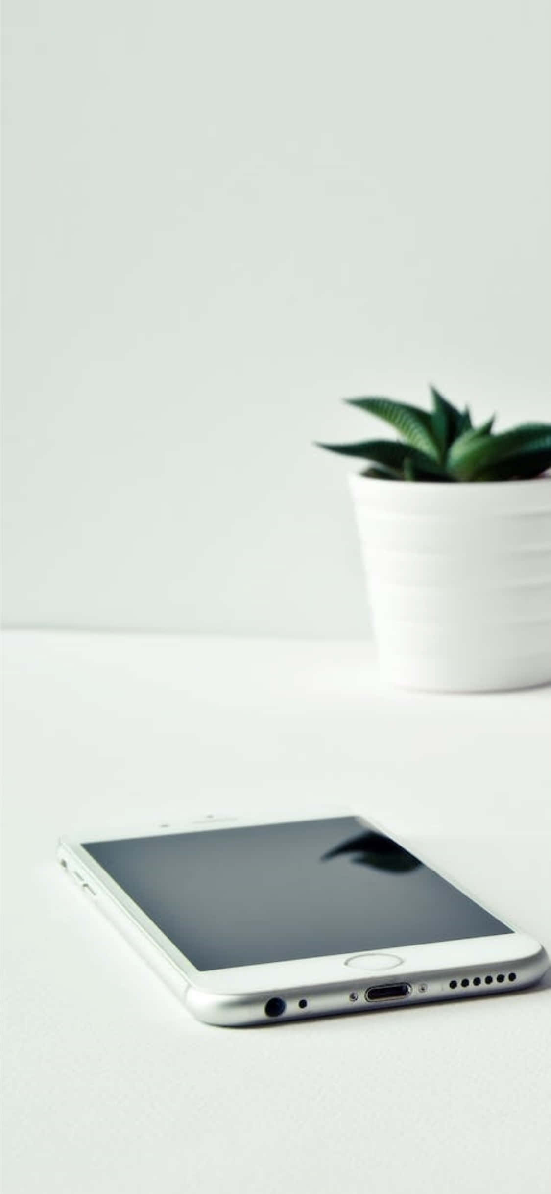 iPhone X Lessenaar Agtergrond Wit Foon en 'n Plant Muurpapier