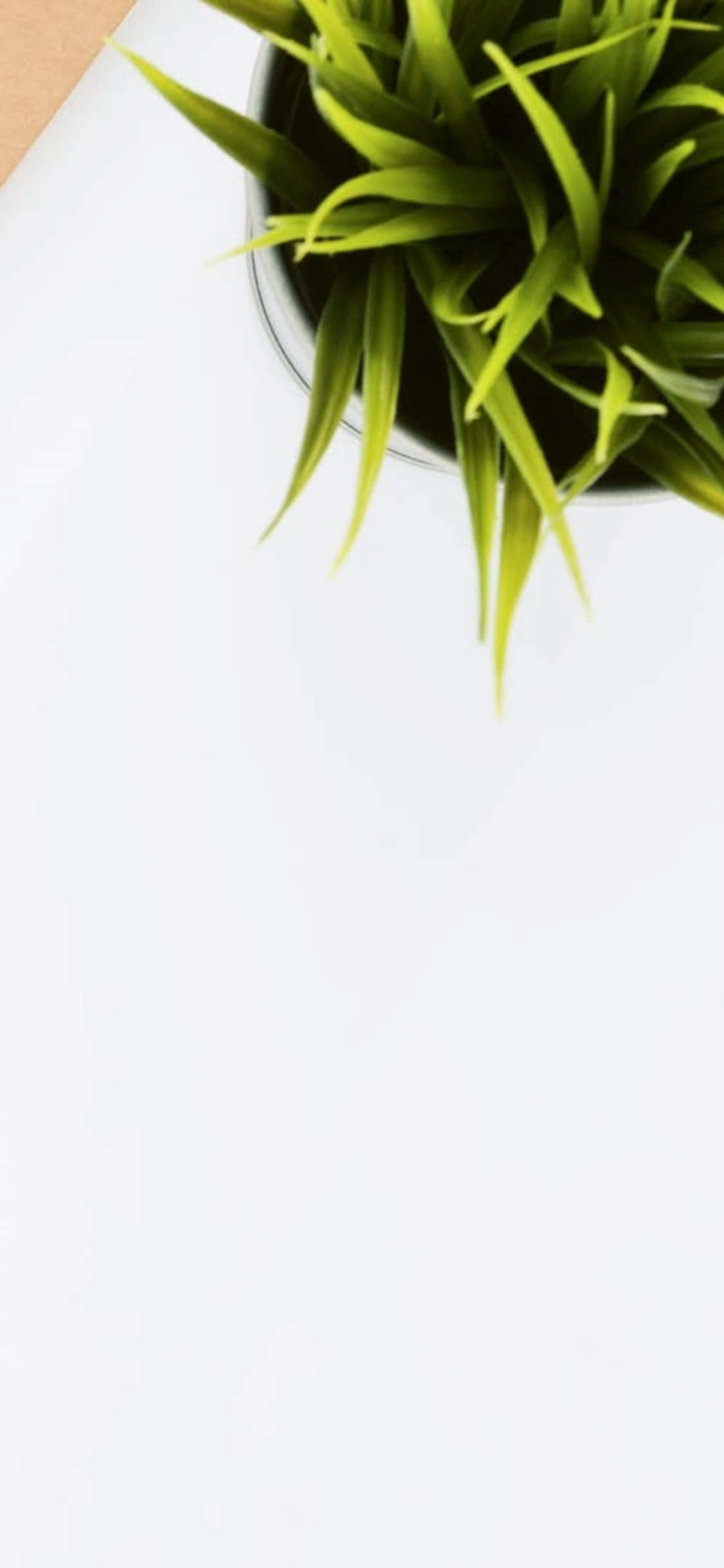 iPhone X Lessenaaragtergrond Binnenshuise Plant Muurpapier