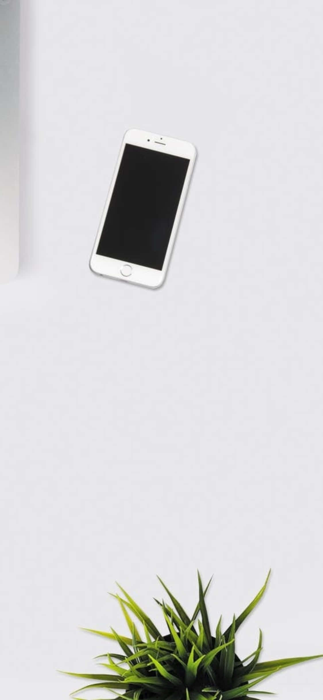 iPhone X Lessenaaragtergrond Wit Foon met 'n Binnenshuise Plant Muurpapier