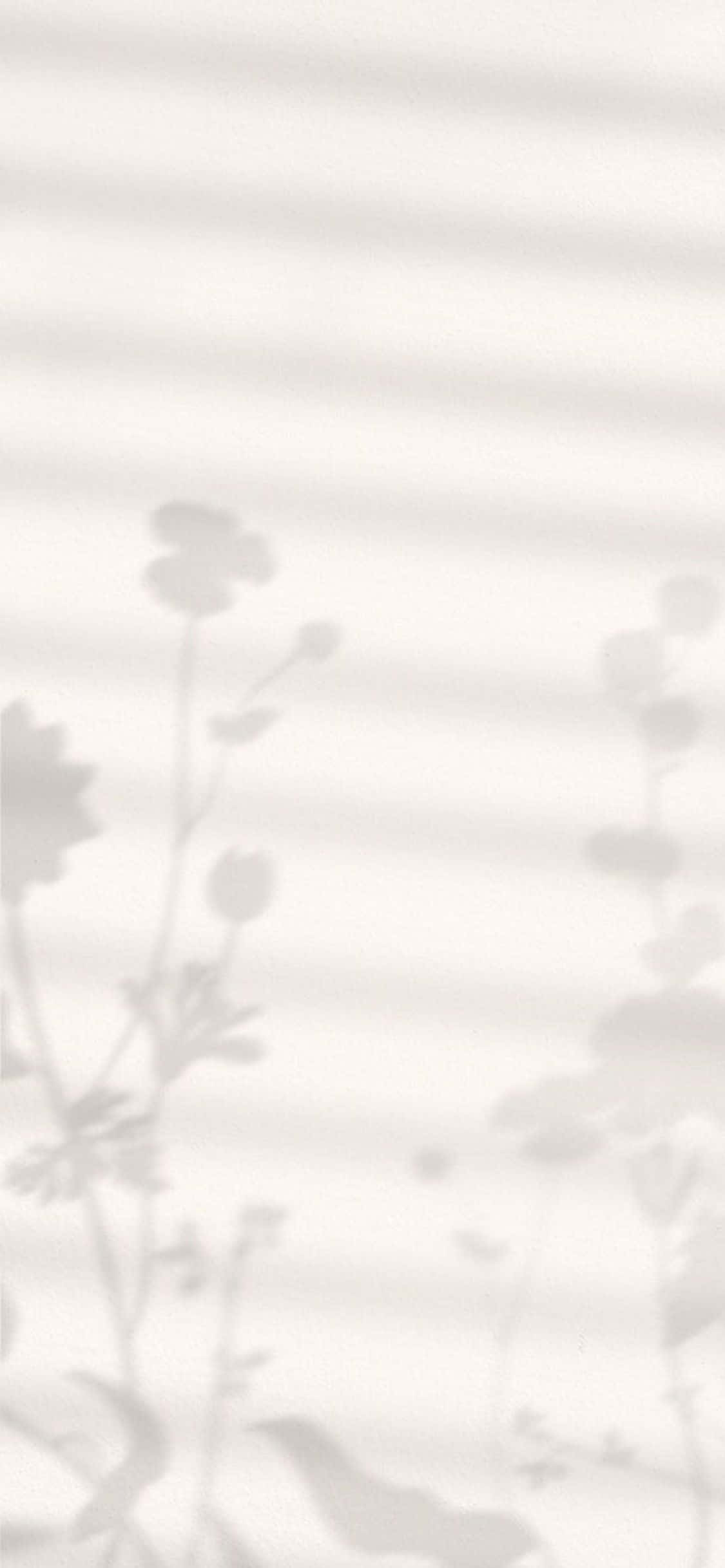 iPhone X Minimal Agtergrond van Blom Skaduwees Muurpapier