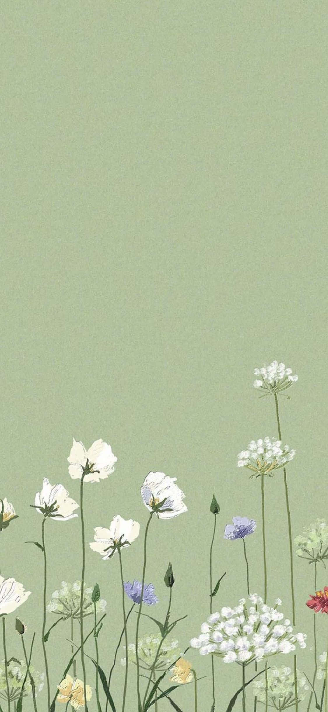 iPhone X Minimalistiese Estetiese Groen Tuin Agtergrond Muurpapier