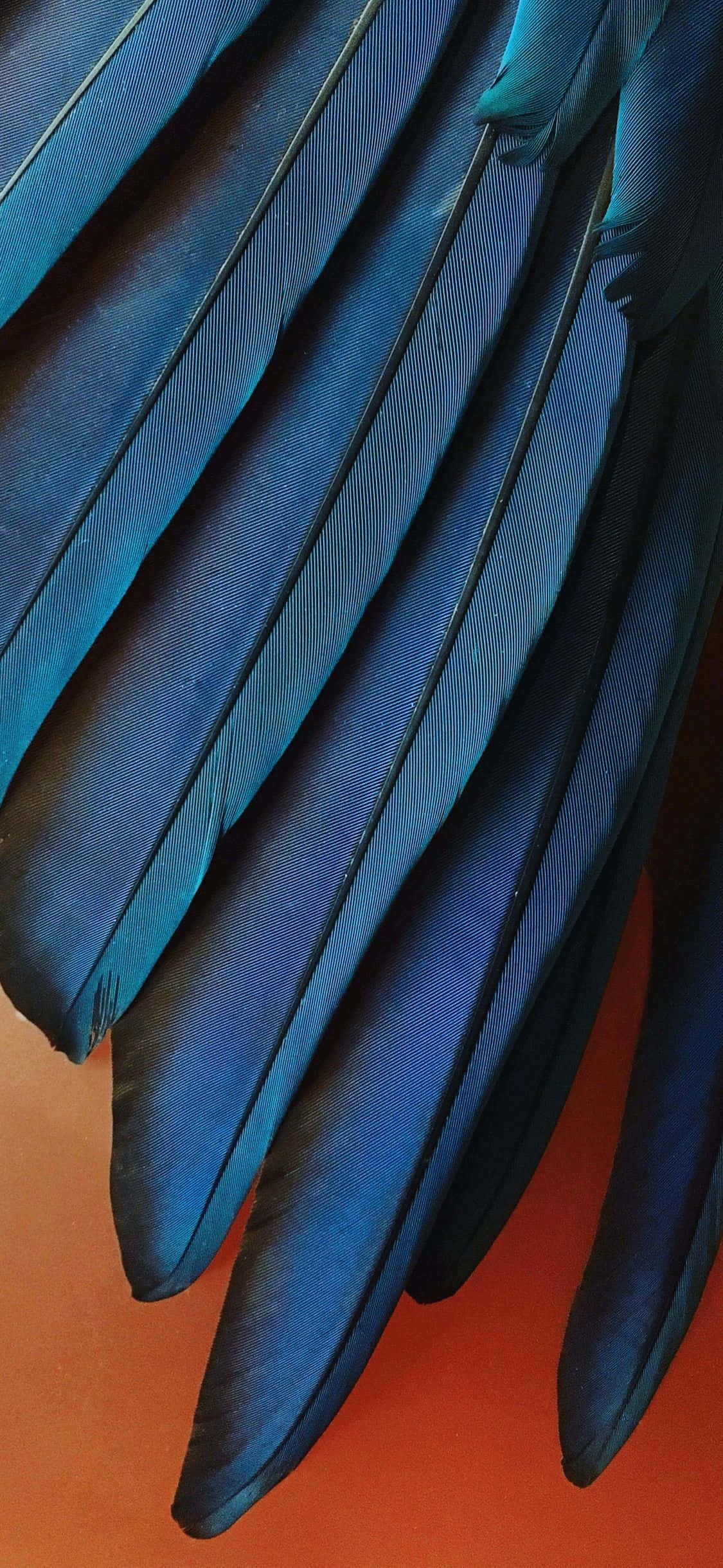 iPhone Xr Stock Teal Blou Vere Muurpapier