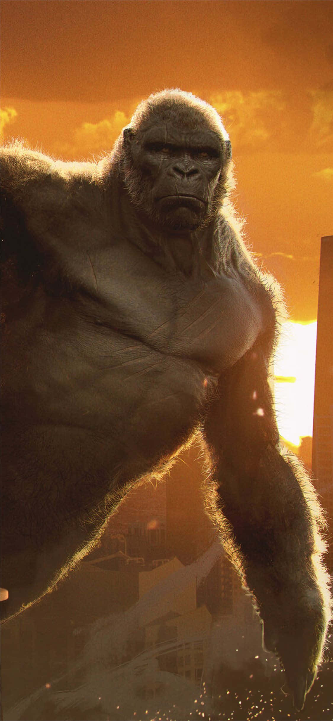iPhone Xs Max Gorilla Agtergrond Fliek King Kong Muurpapier