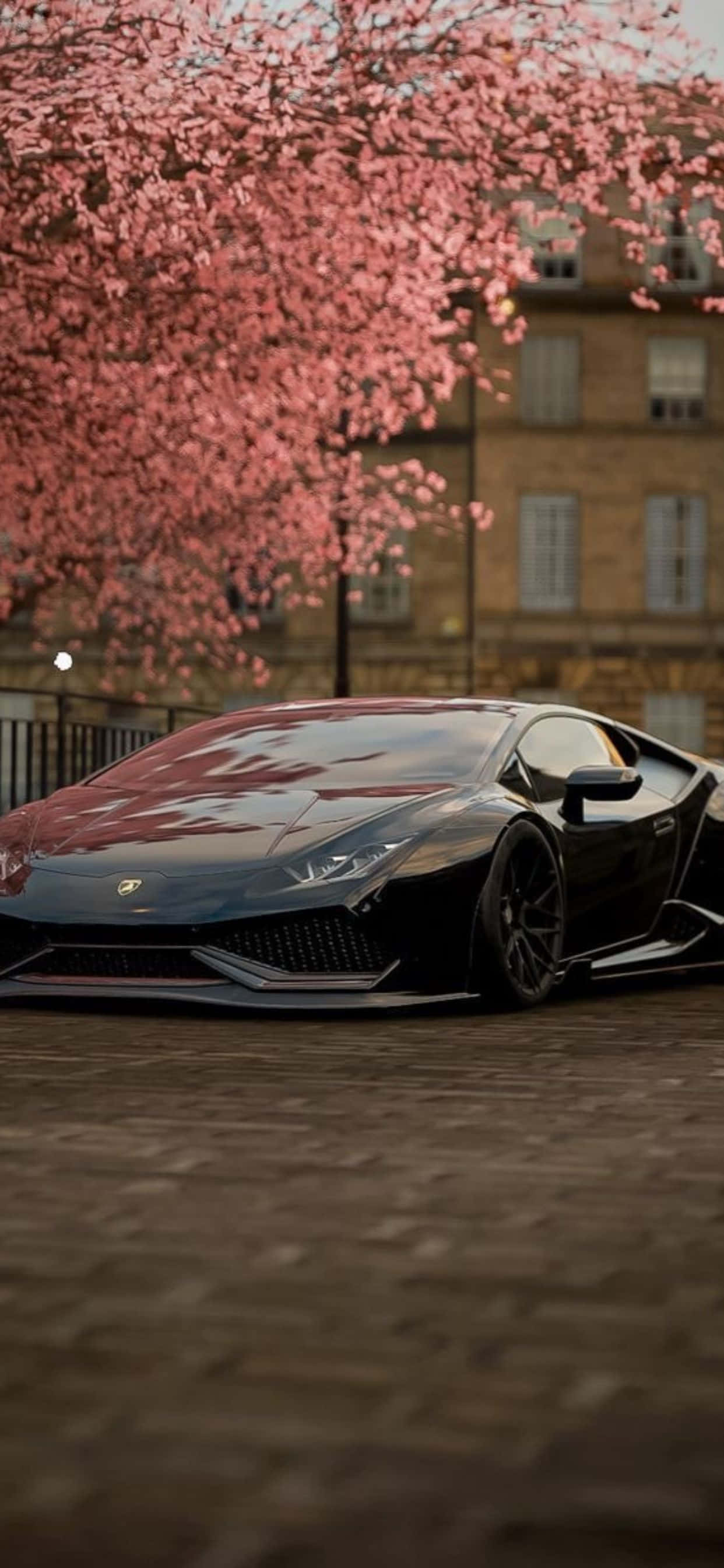 iPhone XS Max Lamborghini Kersiebloeisel Agtergrond Muurpapier