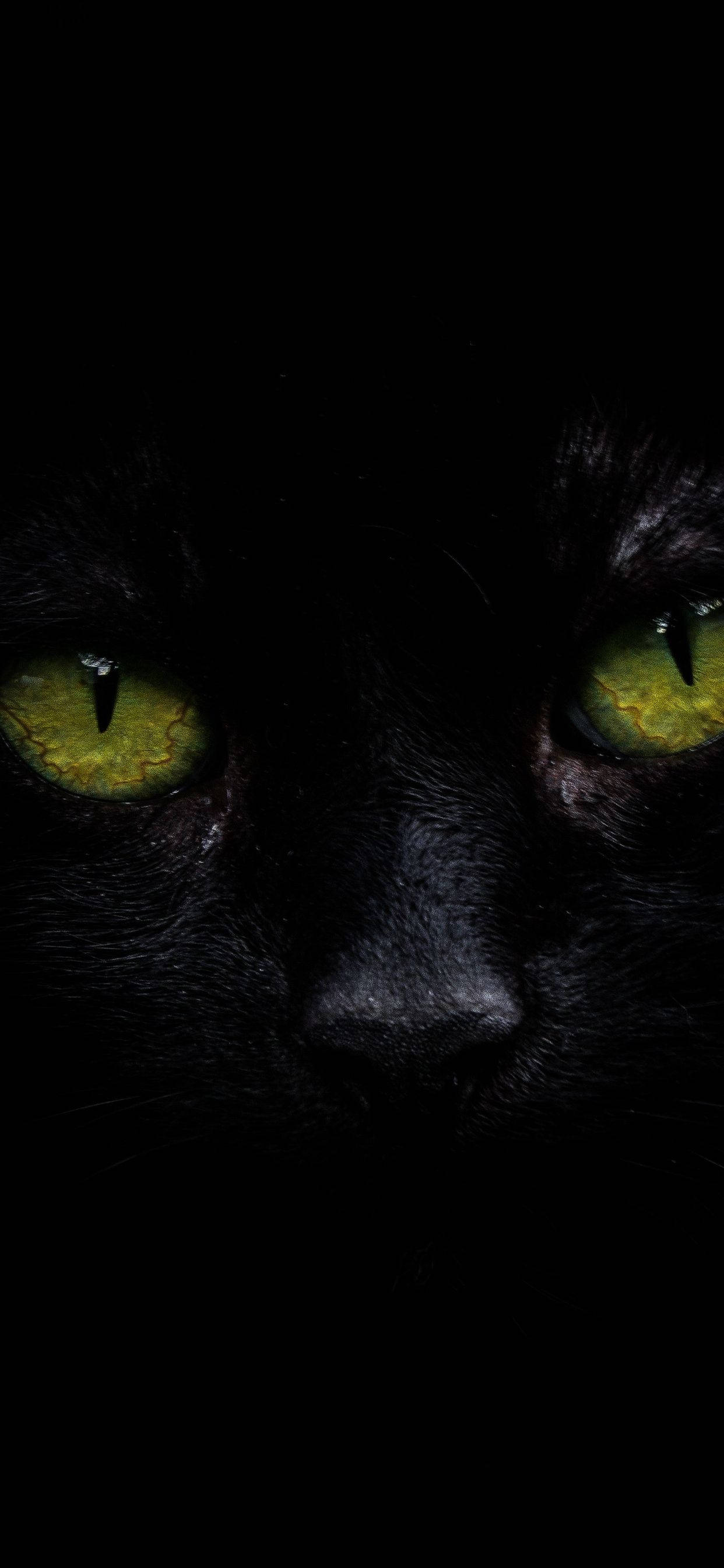 iPhone XS Max OLED Swart Kat Muurpapier