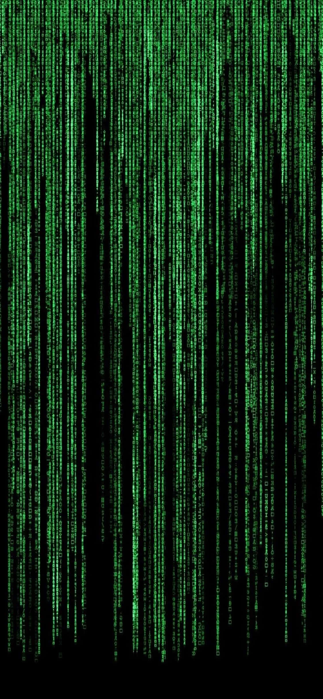 iPhone Xs Programmeer Agtergrond Groen Matriks Muurpapier