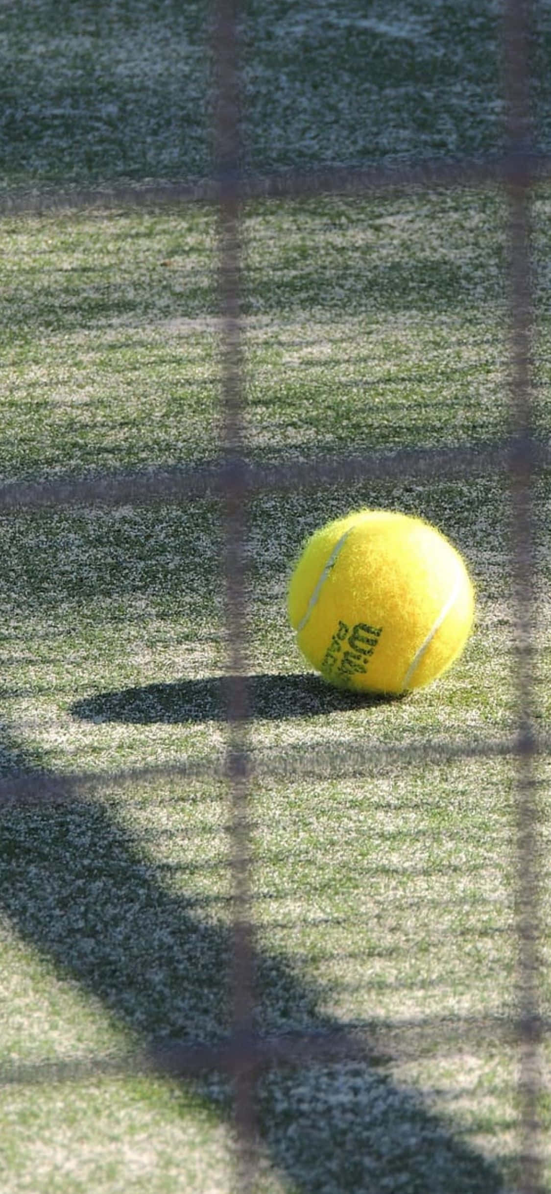 iPhone Xs Tennis Agtergrond Muurpapier