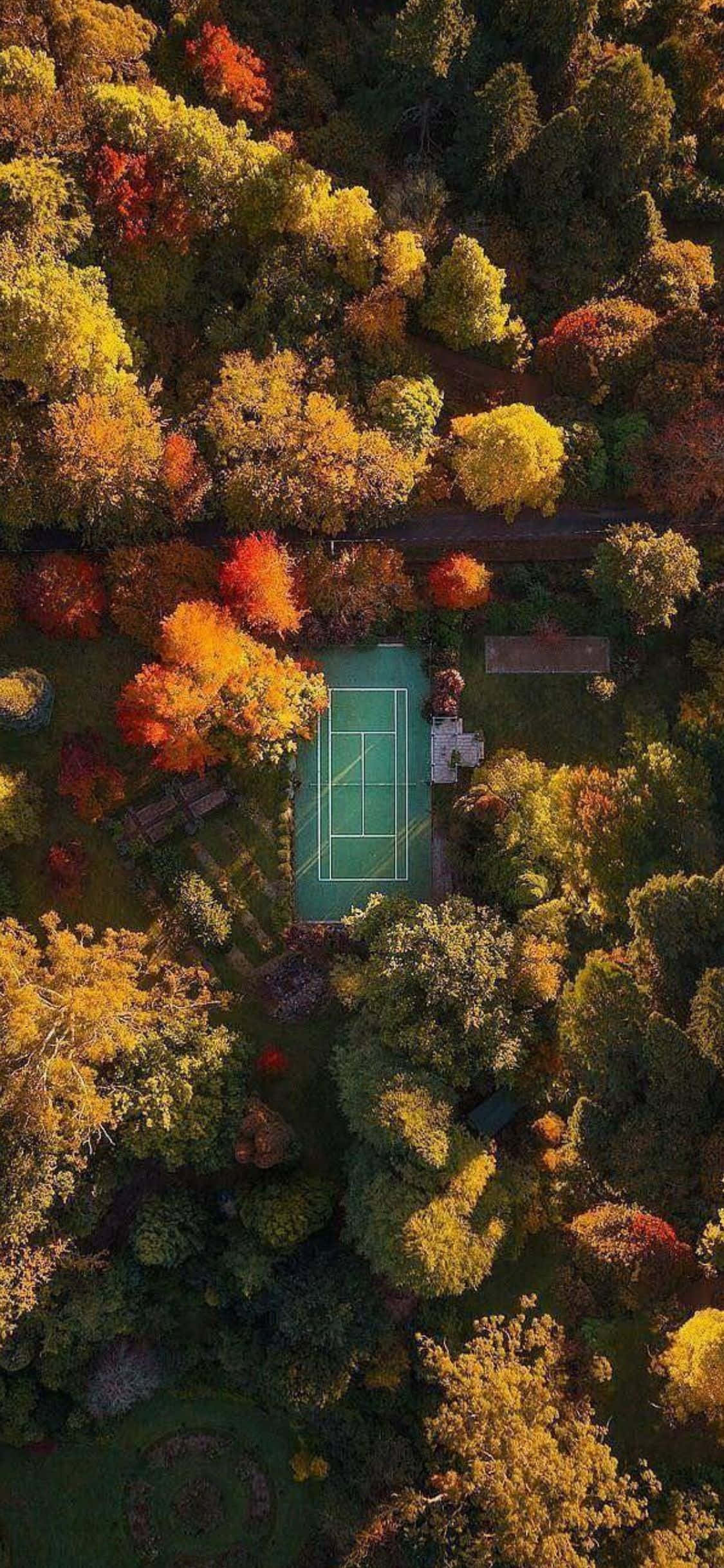 iPhone Xs Tennis Agtergrond Muurpapier