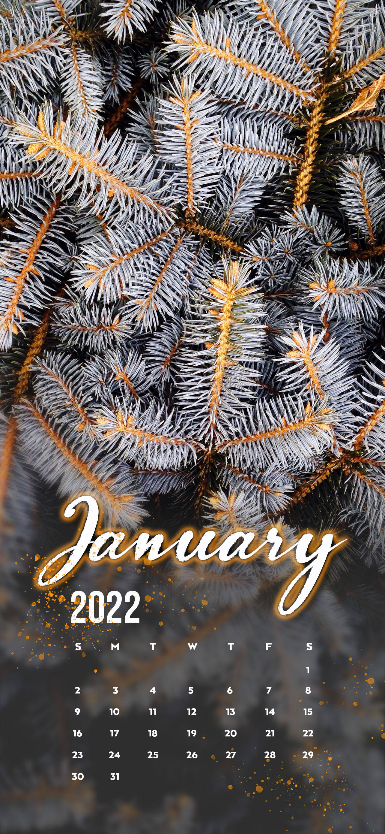 Januarie 2022 Wit Pynboom Muurpapier