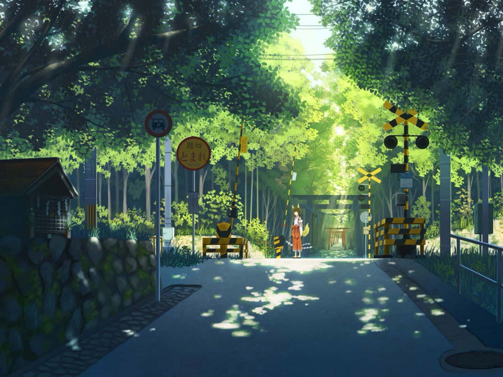 Japan Groen Anime Straat Muurpapier