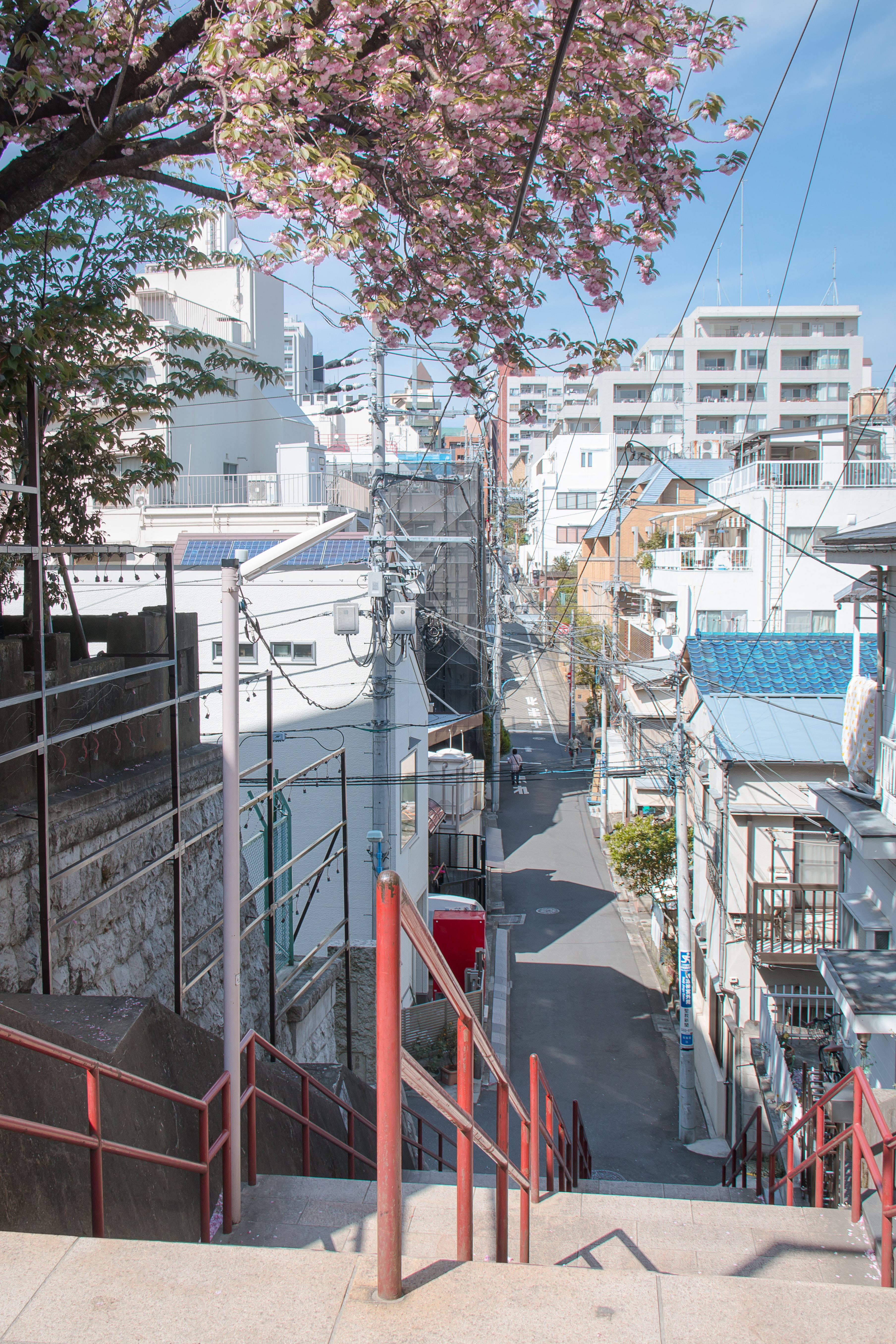 Japannese HD Suga Jinja Heiligdom Trappe — Japan GIF Muurpapier