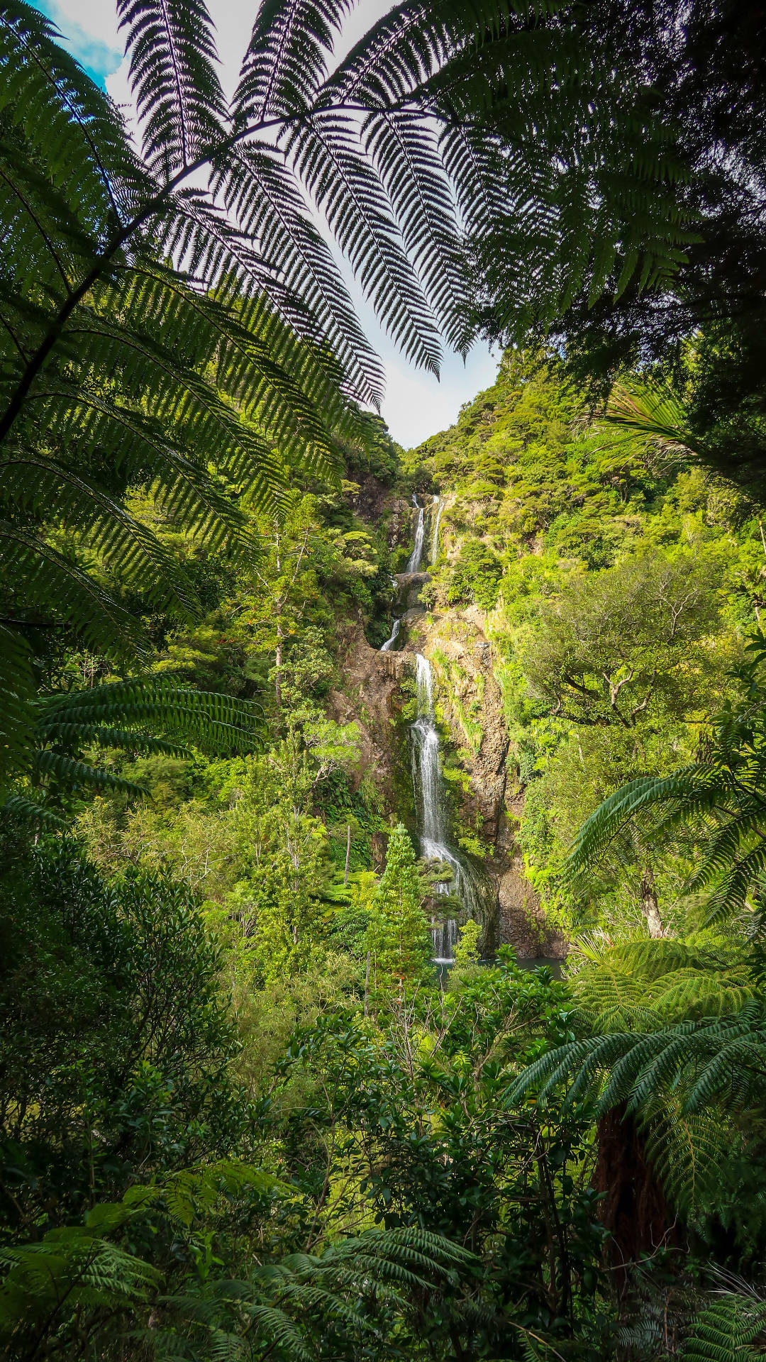 Jungle met Watervalle iPhone Muurpapier