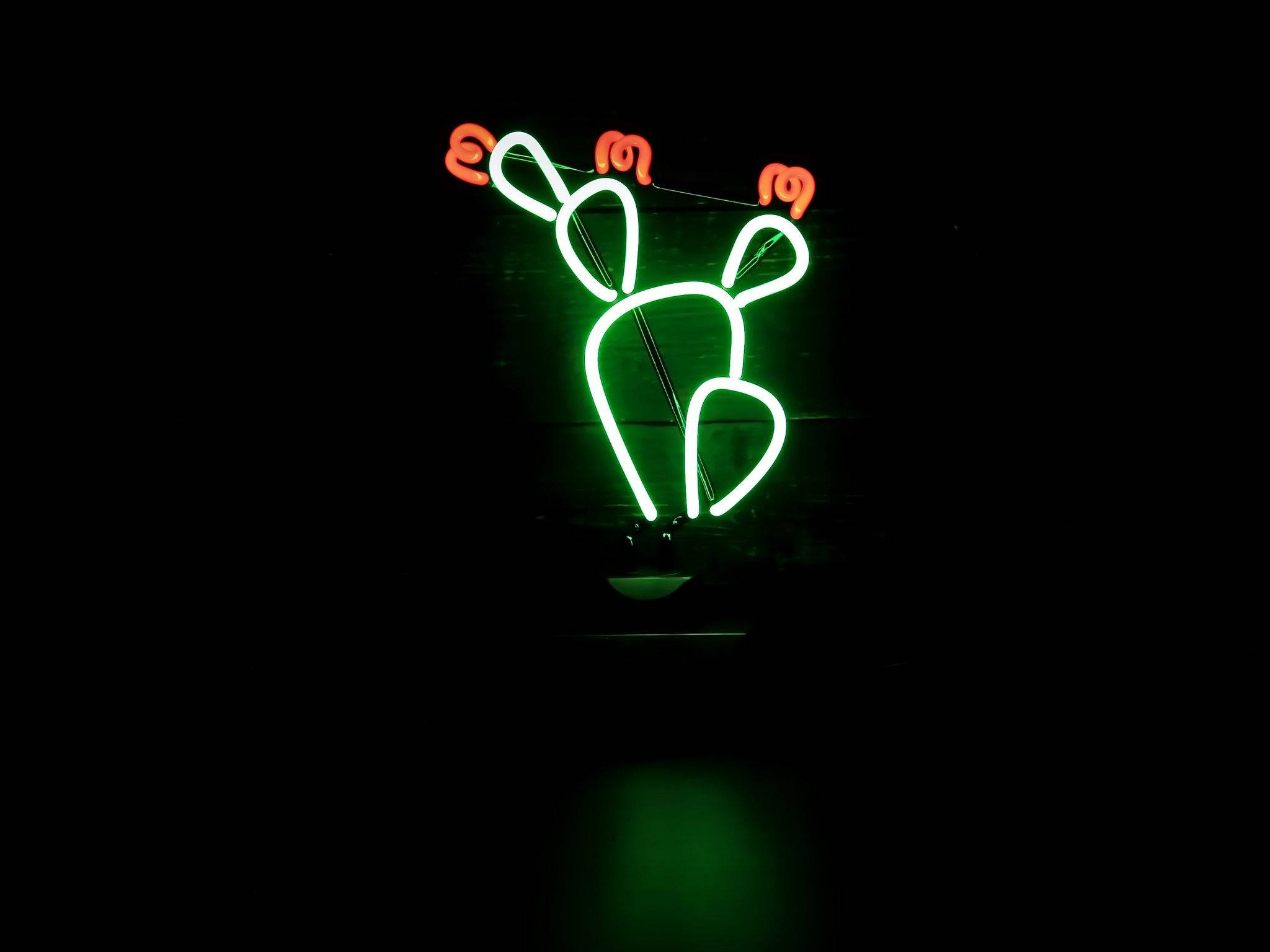 Kaktusblomme Neon Groen Estetika Muurpapier