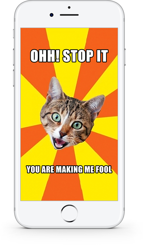 Kat Meme Ooh Hou Op Jy Maak My Mal Muurpapier