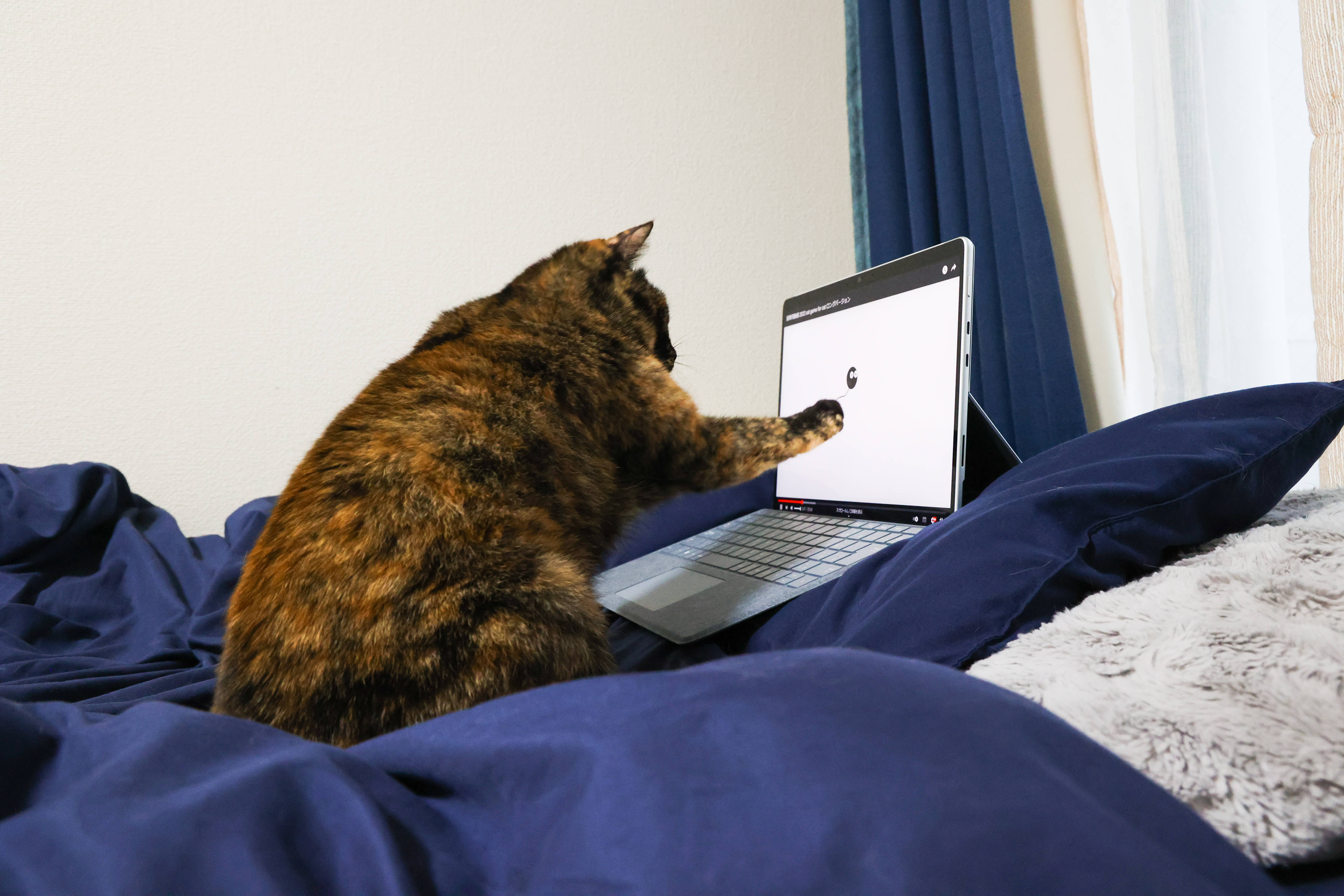 Kat Rekenaar In Bed Muurpapier