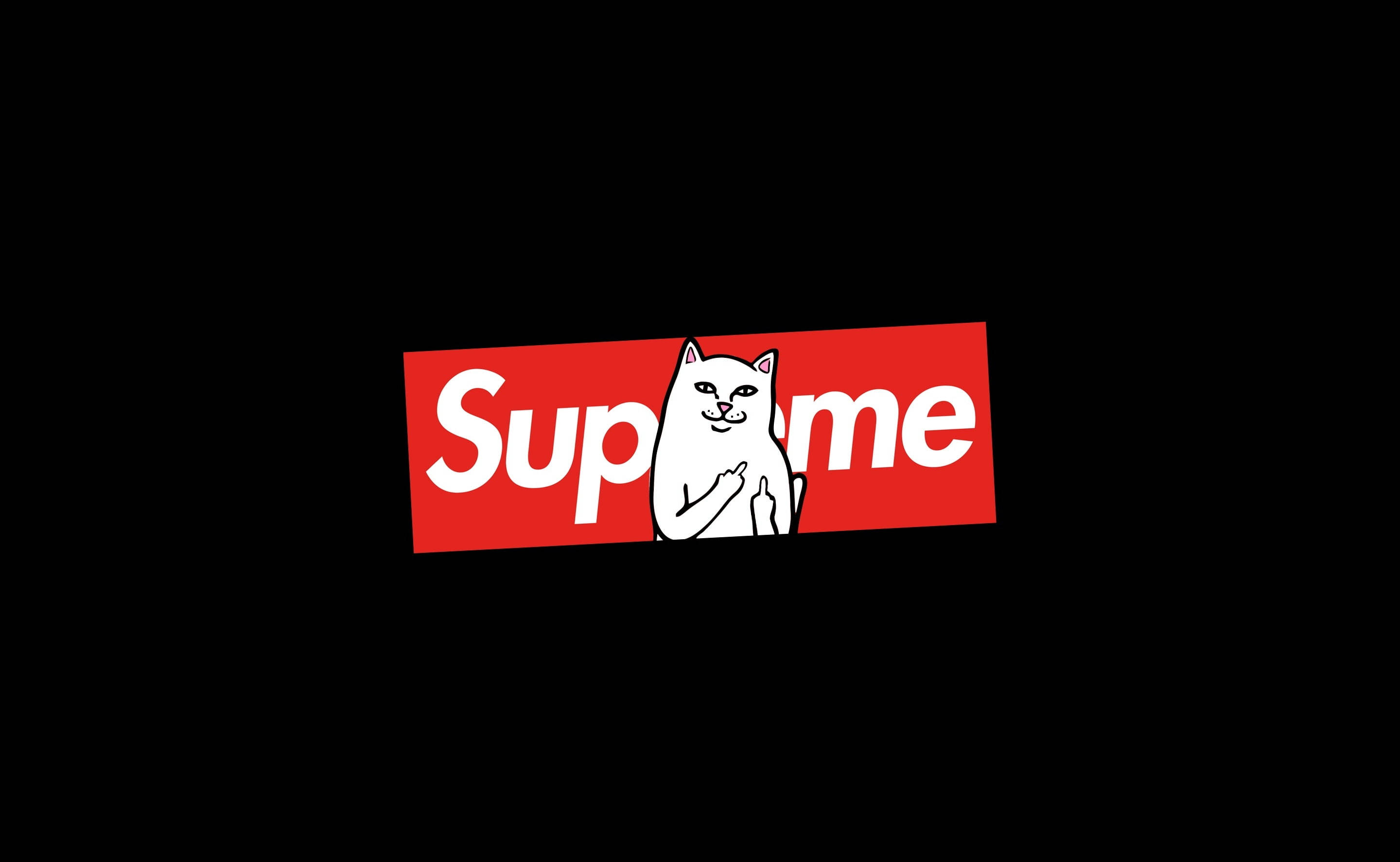 Kat Sit op Supreme-skootrekenaar Muurpapier