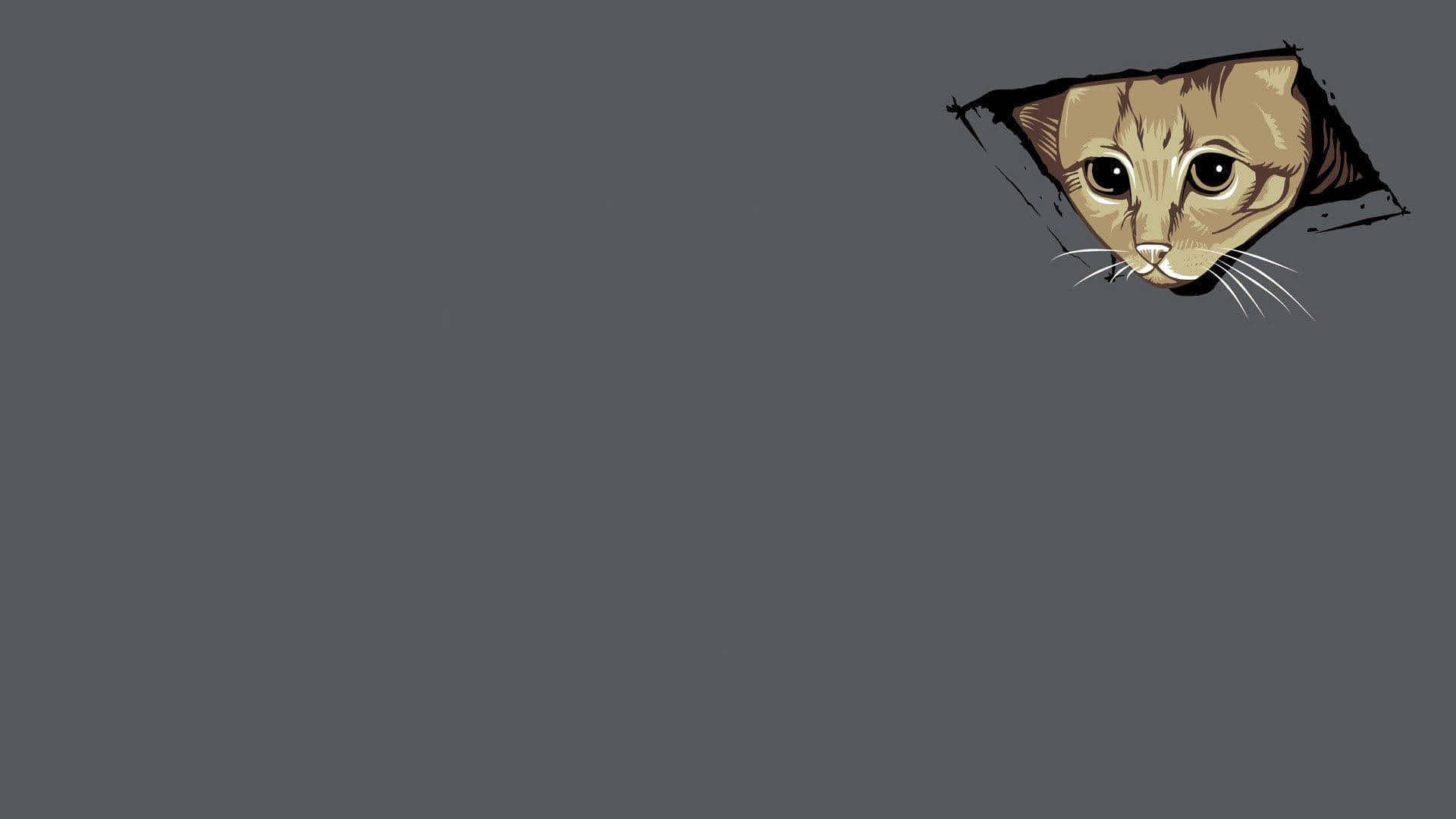 Kat wat loer – meme-skenkblad Muurpapier