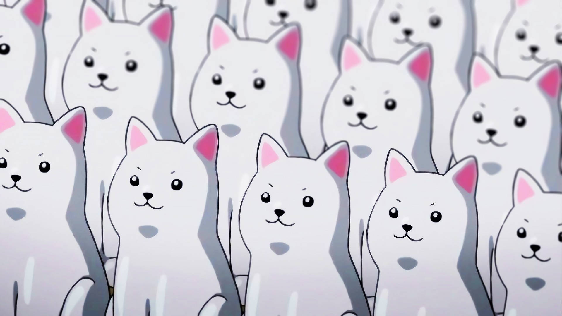 Kawaii HD Wit Honde Muurpapier