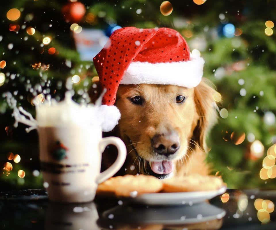 Kersfees Hond Met Koekies En Eierpunch Muurpapier