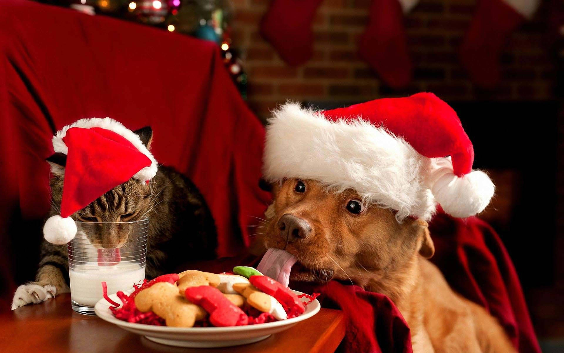 Kersfees Pret met Kat en Hond Muurpapier