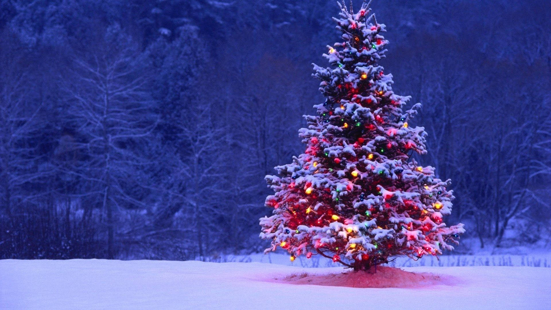 Kersfees Winter Denneboom Muurpapier