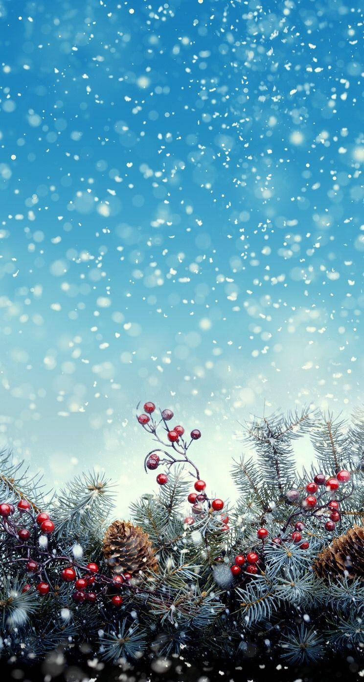 Kersfeesvrugte op Winter Foon Muurpapier
