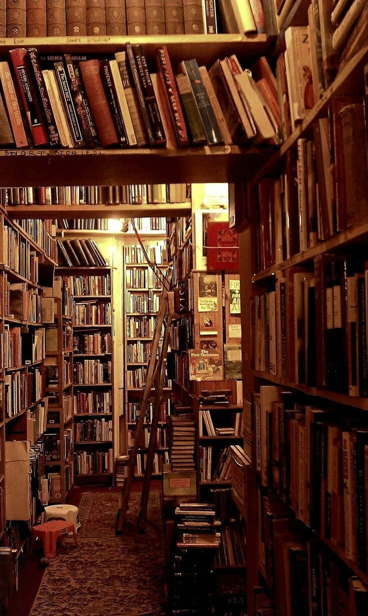 Klassieke Styl Biblioteek Prent Muurpapier