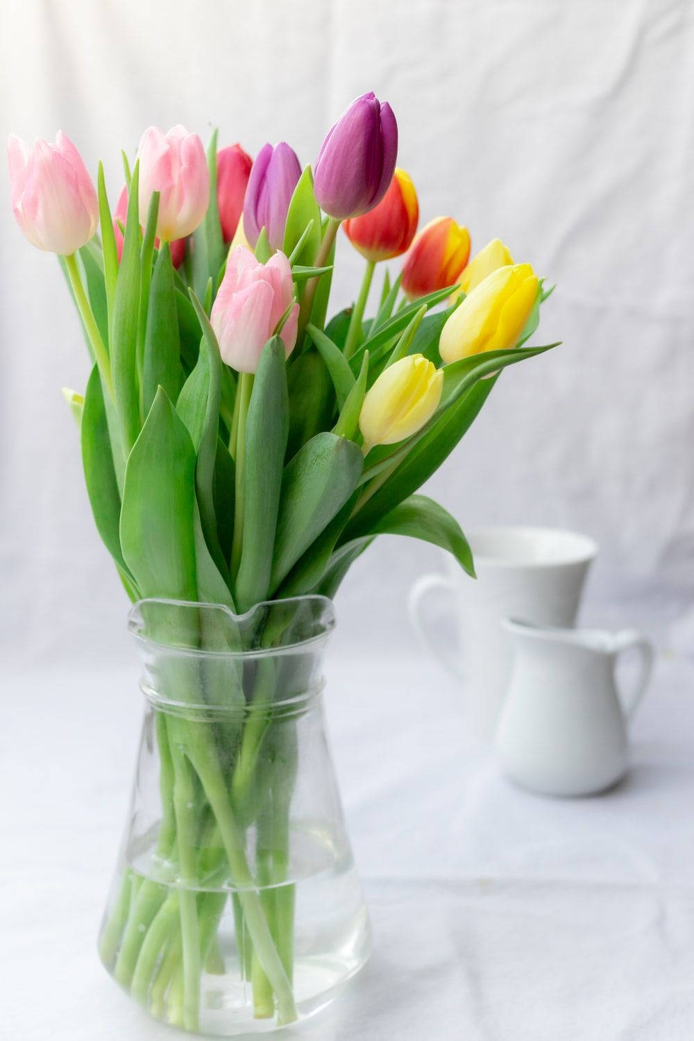Kleurvolle Tulpe in 'n Blommevaas Muurpapier
