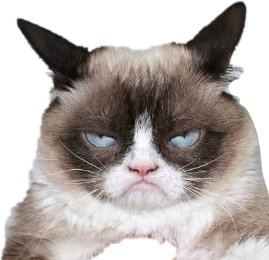Knorrige Kat Uitdrukking.PNG Muurpapier