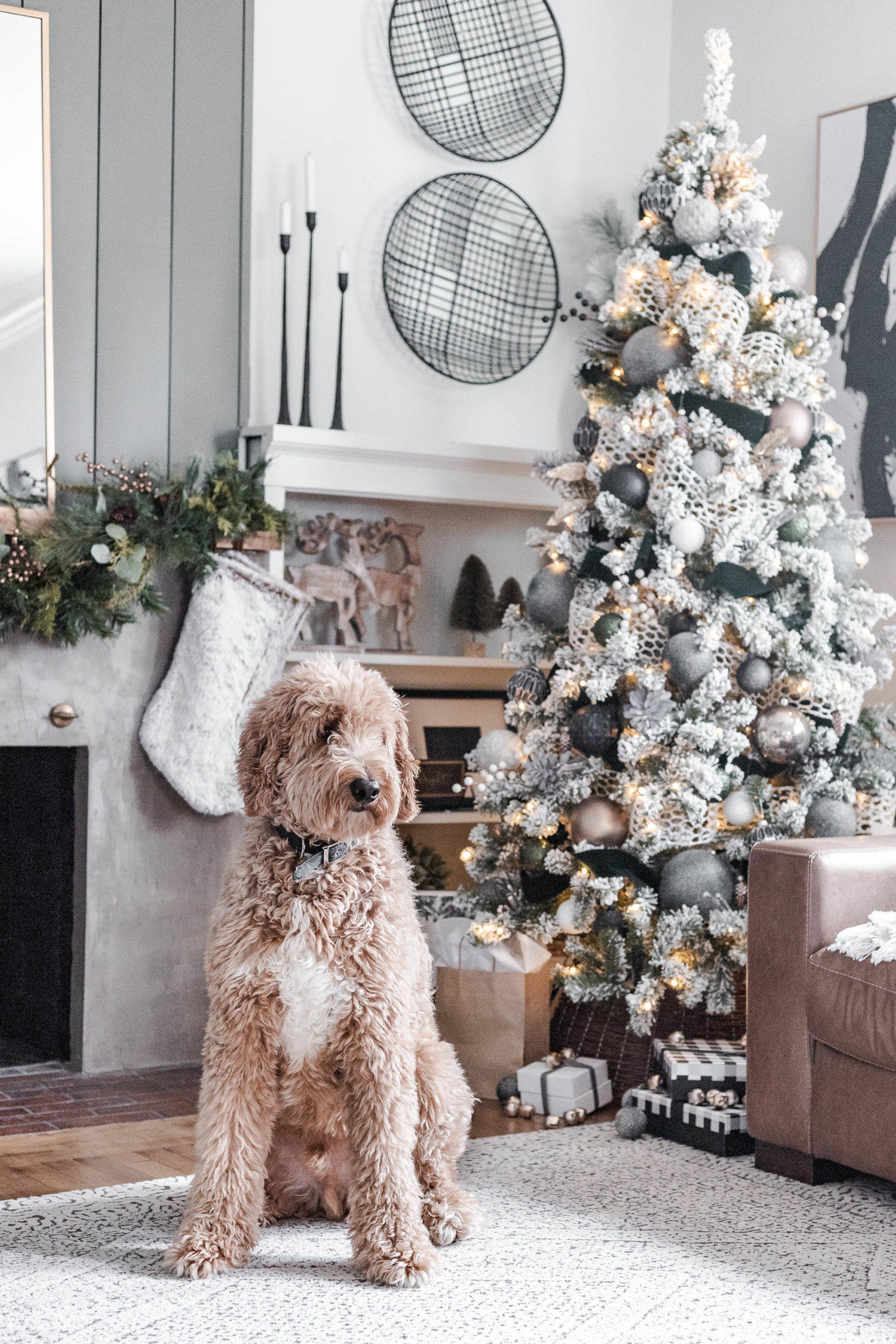 Knus Kersfees Estetiese Oulike Hond Muurpapier