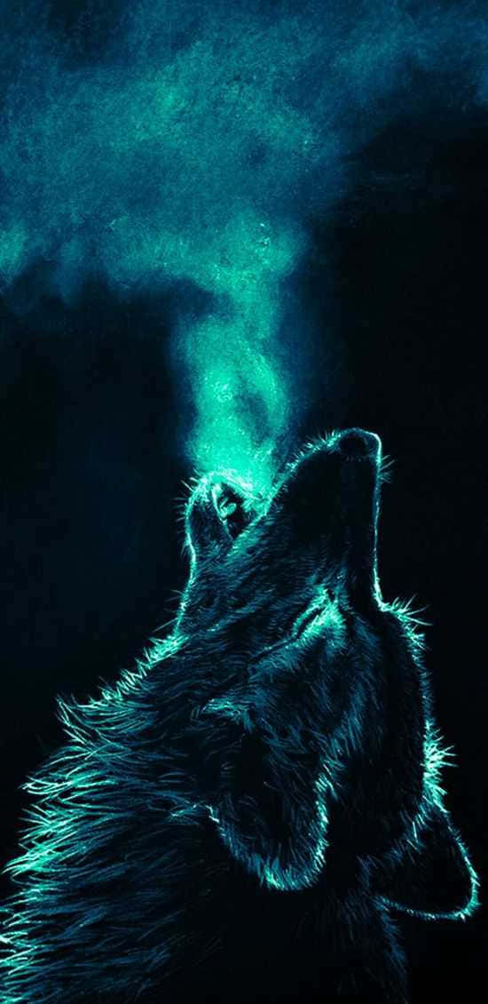 Koel Blou Wolf wat Rook Blaas Muurpapier