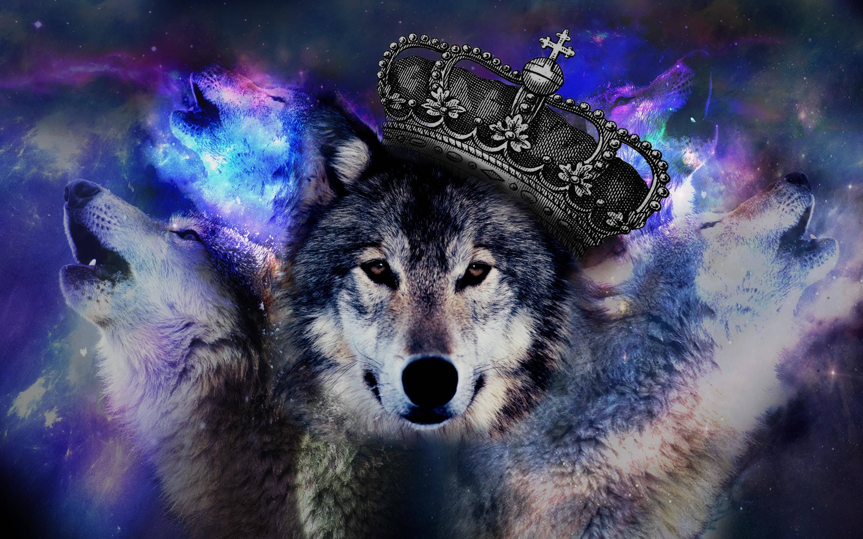 Koel Galaxie Met Gekroonde Wolf Muurpapier